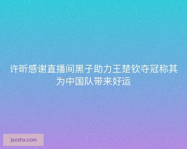 许昕感谢直播间黑子助力王楚钦夺冠称其为中国队带来好运