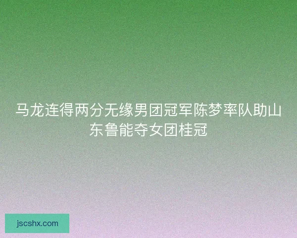 马龙连得两分无缘男团冠军陈梦率队助山东鲁能夺女团桂冠 马龙连得两分无缘男团冠军陈梦率队助山东鲁能夺女团桂冠