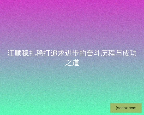 汪顺稳扎稳打追求进步的奋斗历程与成功之道